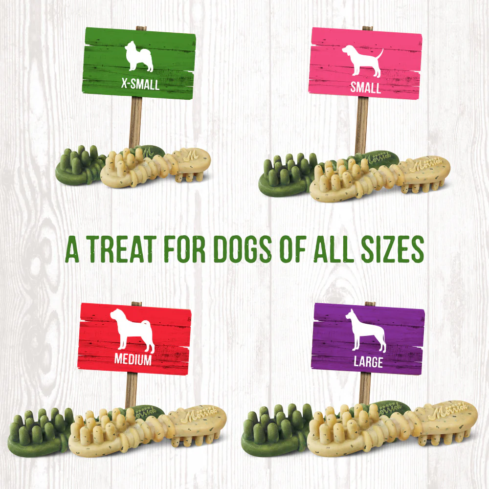 Merrick Fresh Kisses Grain Free Coconut Oil & Botanicals Small Dental Dog Treats - Image 8