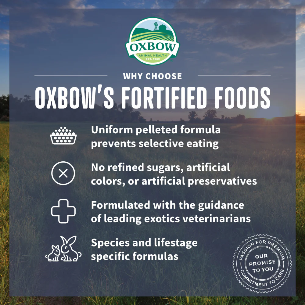 Oxbow Animal Health Essentials Adult Guinea Pig Food All Natural Adult Guinea Pig Pellets - Image 4
