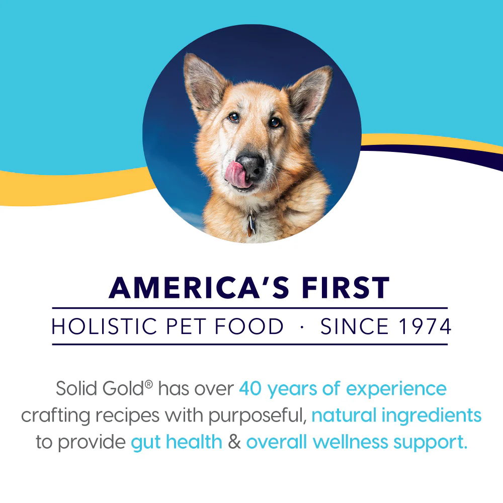 Solid Gold Bone Broth Turkey for Dogs - Image 6