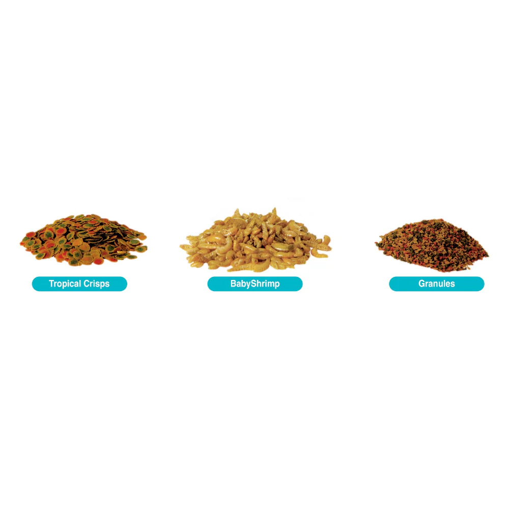 Tetra TetraMin Crisps Select-A-Food Variety Pack Flakes Fish Food - Image 3