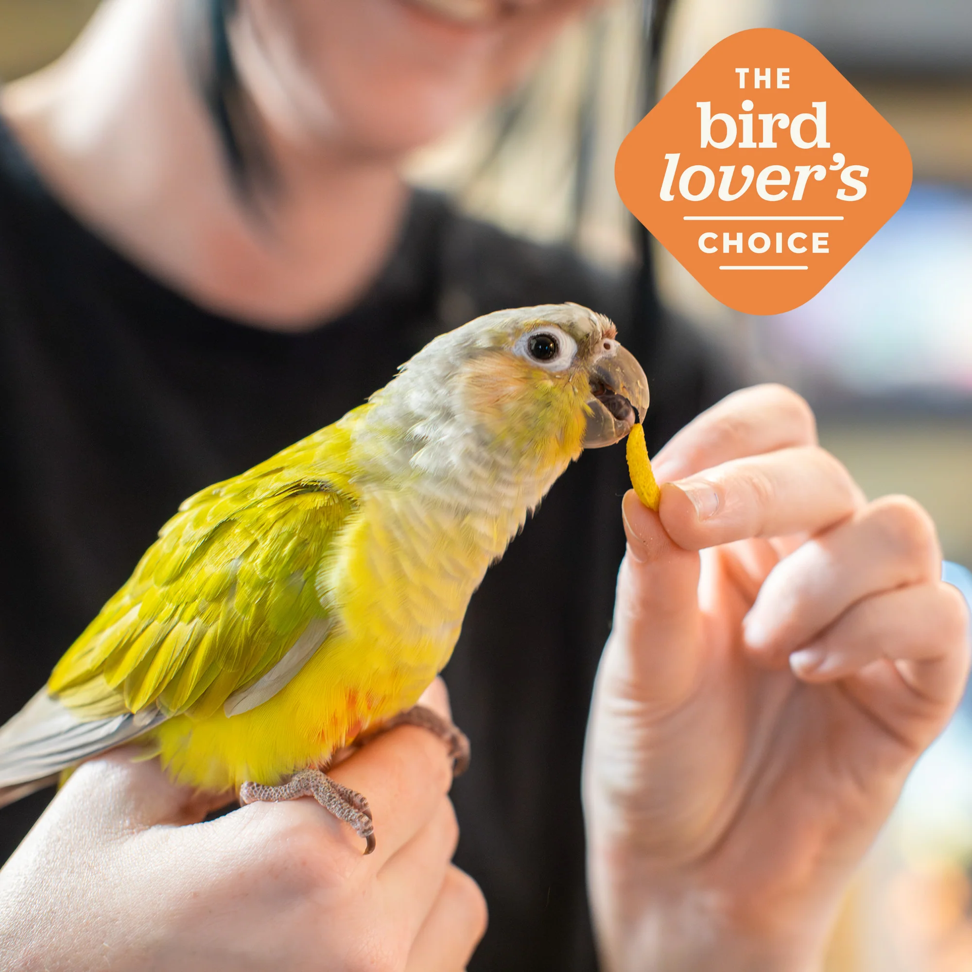 Zupreem FruitBlend Flavor Food with Natural Flavors for Large Birds - Image 4